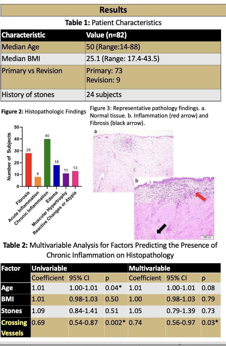 Brian_J_Flynn's tweet photo. So incredibly proud of our 2nd year #FRU fellow @CU_Urology @kdoersch689. Special thanks to @SWIUorg for funding this research. Her 1st place prize was just one of the team's multiple outstanding presentations at #IFRUE2025. KD is a true rising star in #ReconstructiveUrology future FRU faculty 
@URMCUrology