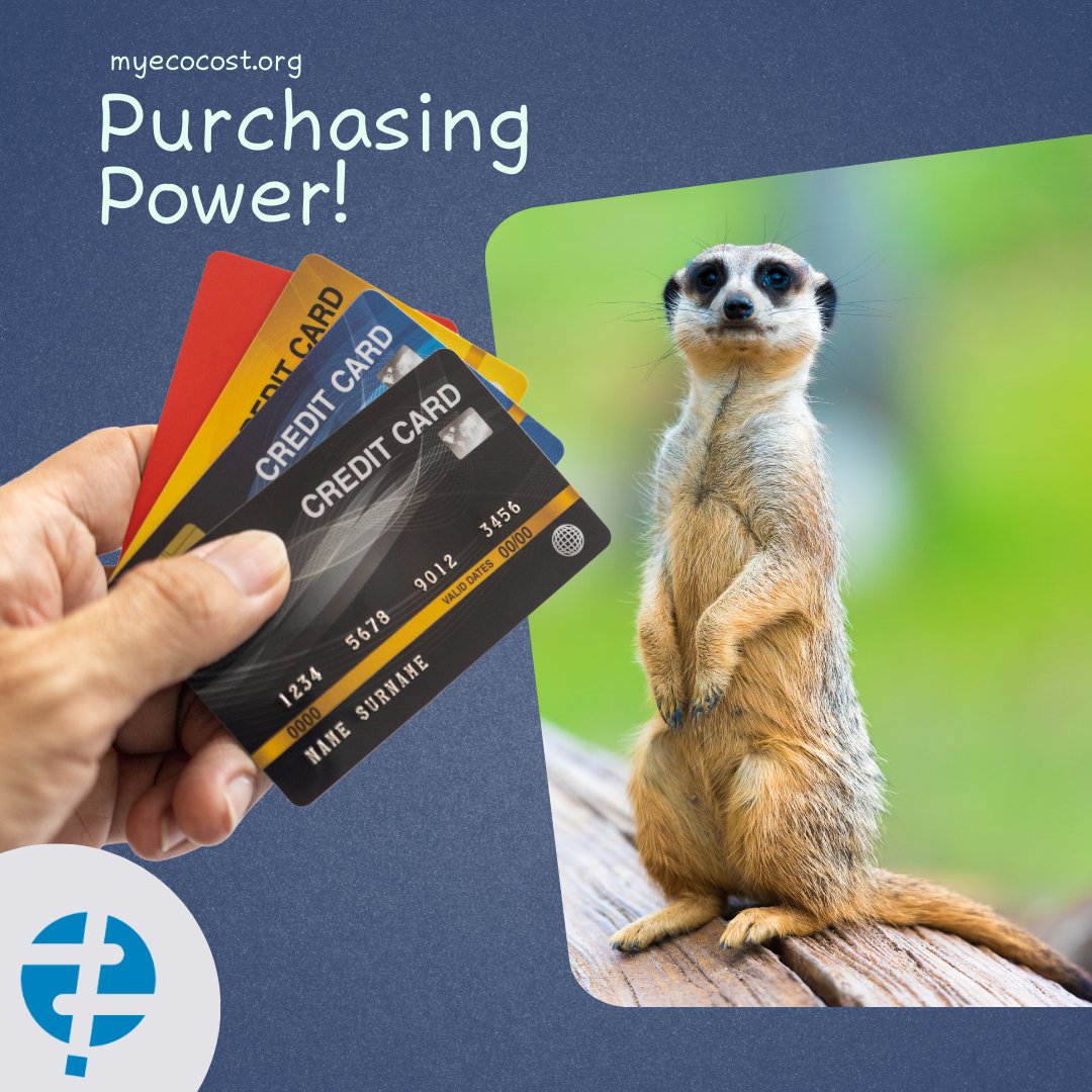 Saving wildlife can be as simple as changing your shopping habits. 

myecocost.org