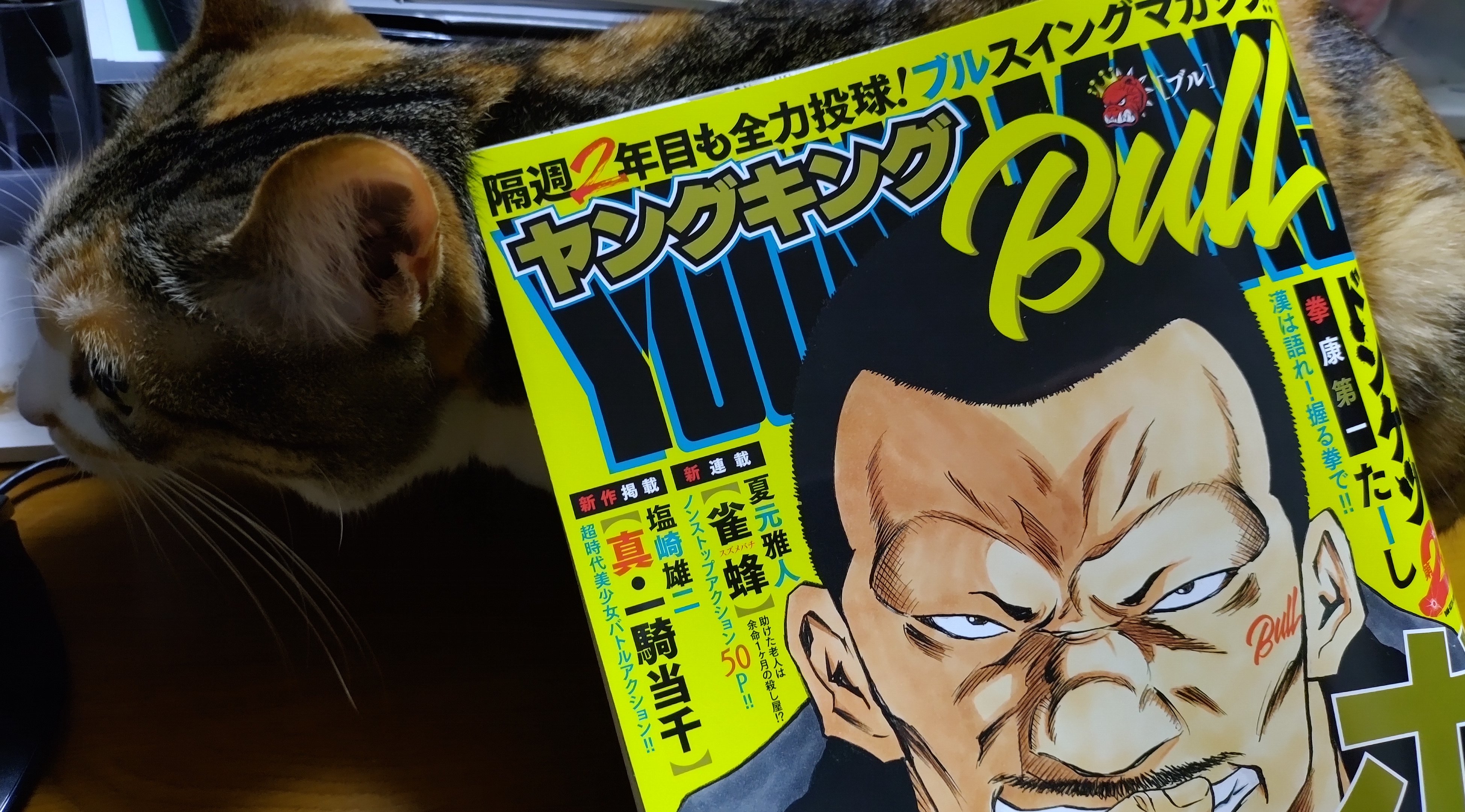 ヤングキングとヤングキングブルまとめ売り Amazon.co.jp