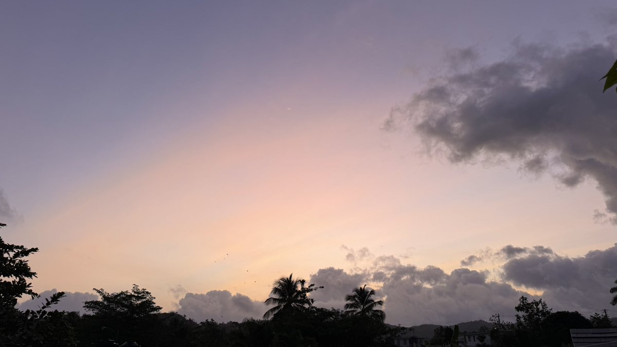 Leidy Díaz tweet media