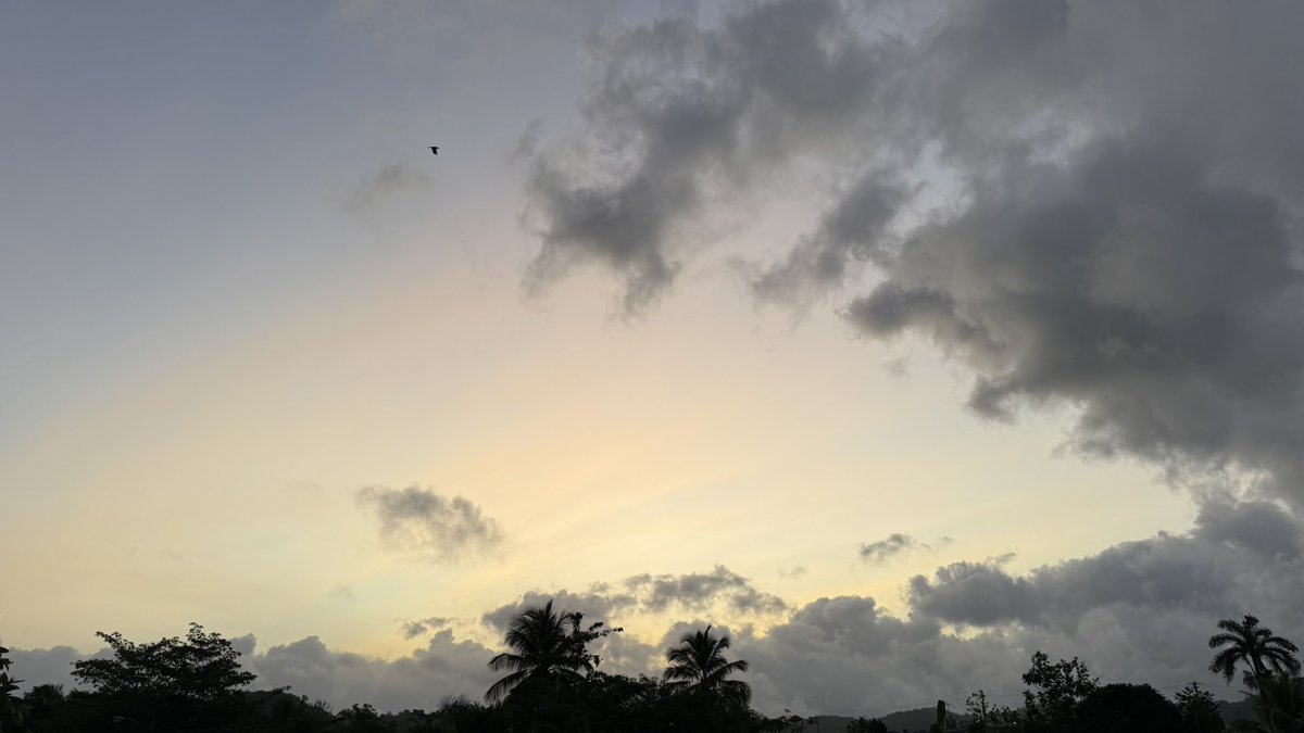 Leidy Díaz tweet media