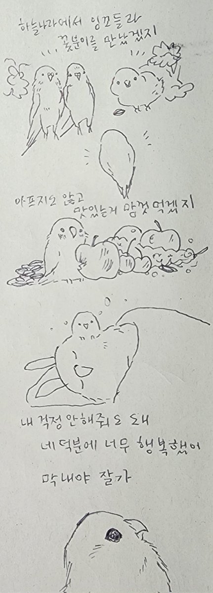 앵무새 막내가 하늘나라로간지 10일정도 되어서 조금 안정이된줄알고 추모만화를 그렸는데 그리는동안 눈물이 뚝뚝 떨어지더라고요 햄스터만 키우다 3년은 너무짧아서 더 길게사는 앵무새를 키우게된거였는데 십년간의 추억들이 마음이 아파요. 더살았으면했지만 20년후도 30년후에도 보내기힘들었겠죠