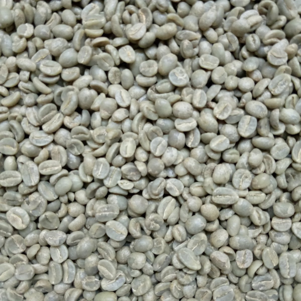 In a world full of coffee options, choose excellence. Burundi Specialty Coffee offers a taste like no other - bold, complex, and utterly satisfying. Elevate your coffee experience today! #CoffeeExcellence #BoldFlavors 
<a href="/NtareHouse/">Ntare Rushatsi House</a> <a href="/BurundiGov/">Bureau du Premier Ministre</a> <a href="/MAEBurundi/">MAEIRCD</a> <a href="/jumuiya/">East African Community</a>