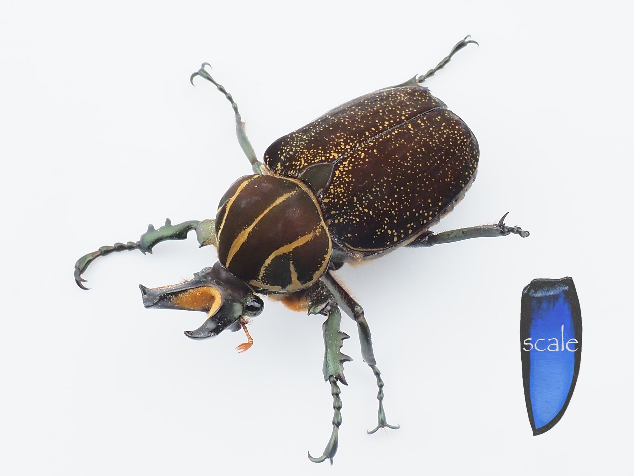 きょーさん (@yamakyo0201) / X