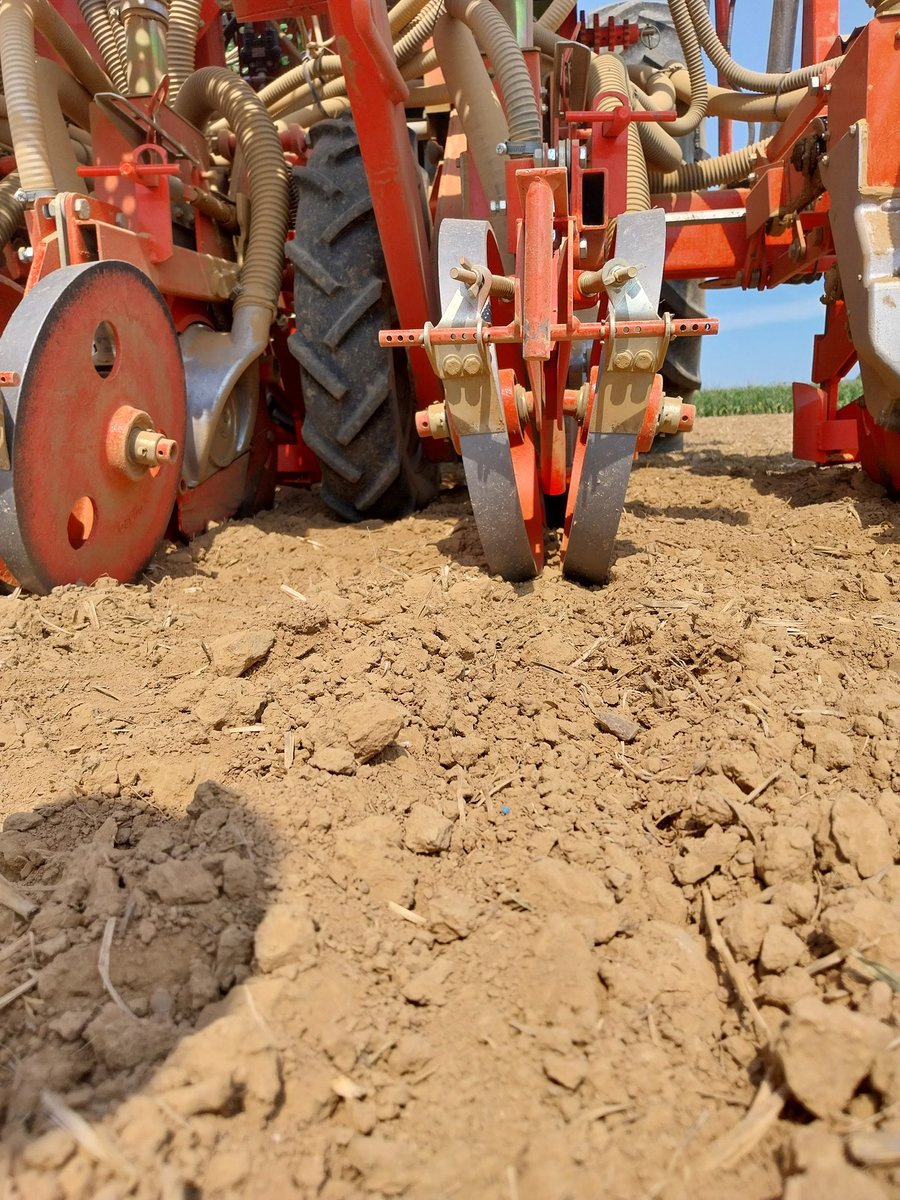 État des lieux de nos premiers semis #colza 
Photo 1 : semis du 07/08 stade B1
Photo 2 : semis du 10/08 apparition de la 1ère feuille 
Photo 3 : semis du 14/08 stade cotyledons 
Pour moi le semoir monograine reste une bonne assurance pour réussir ses semis #ceuxquifontlesessais