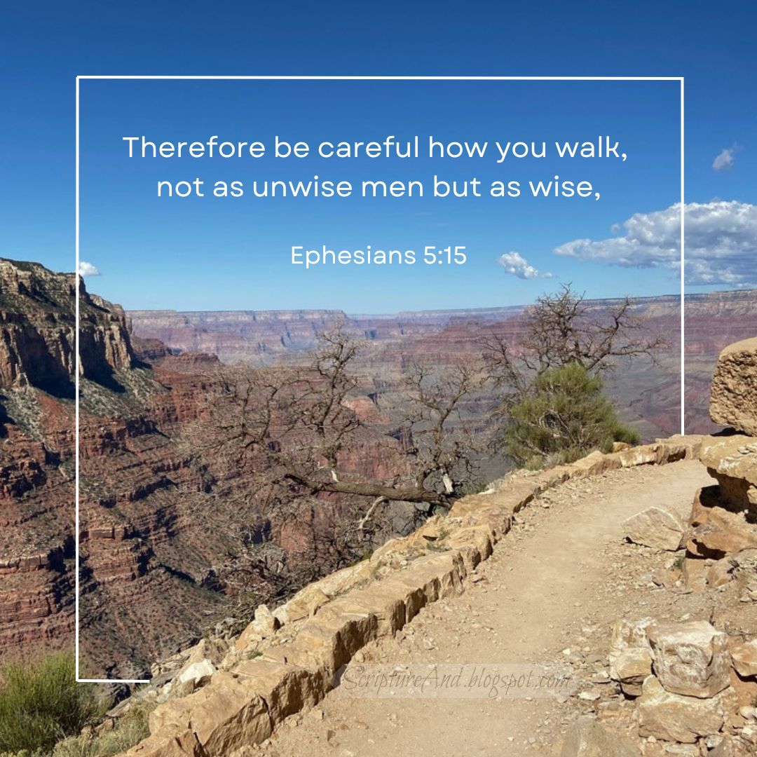 ScriptureAnd's tweet image. We should walk carefully and wisely. The fear of the Lord is the beginning of wisdom (Prov. 9:10). #OurWalkWithGod #WalkInWisdom