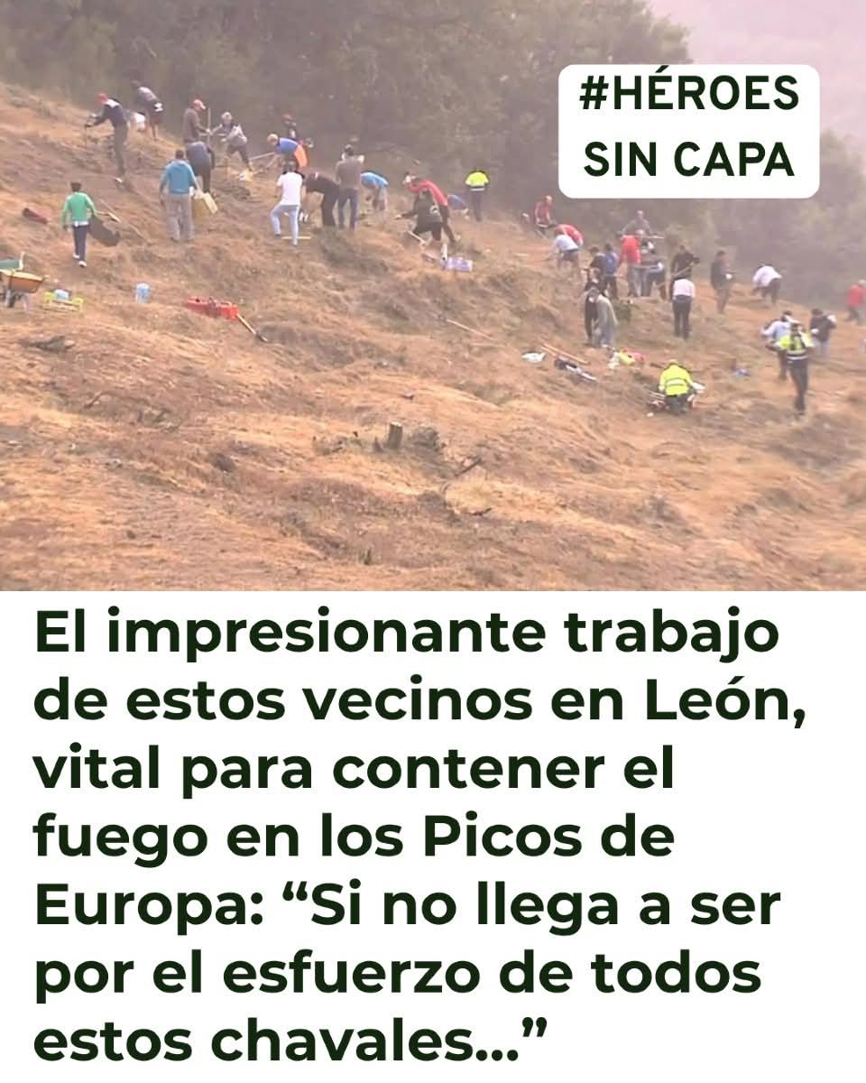 Donde están los ecologistas, los podemitas, los de sumar, los de la agenda 2030, ya vereis como cuando se apaguen los incendios aparecen como setas.