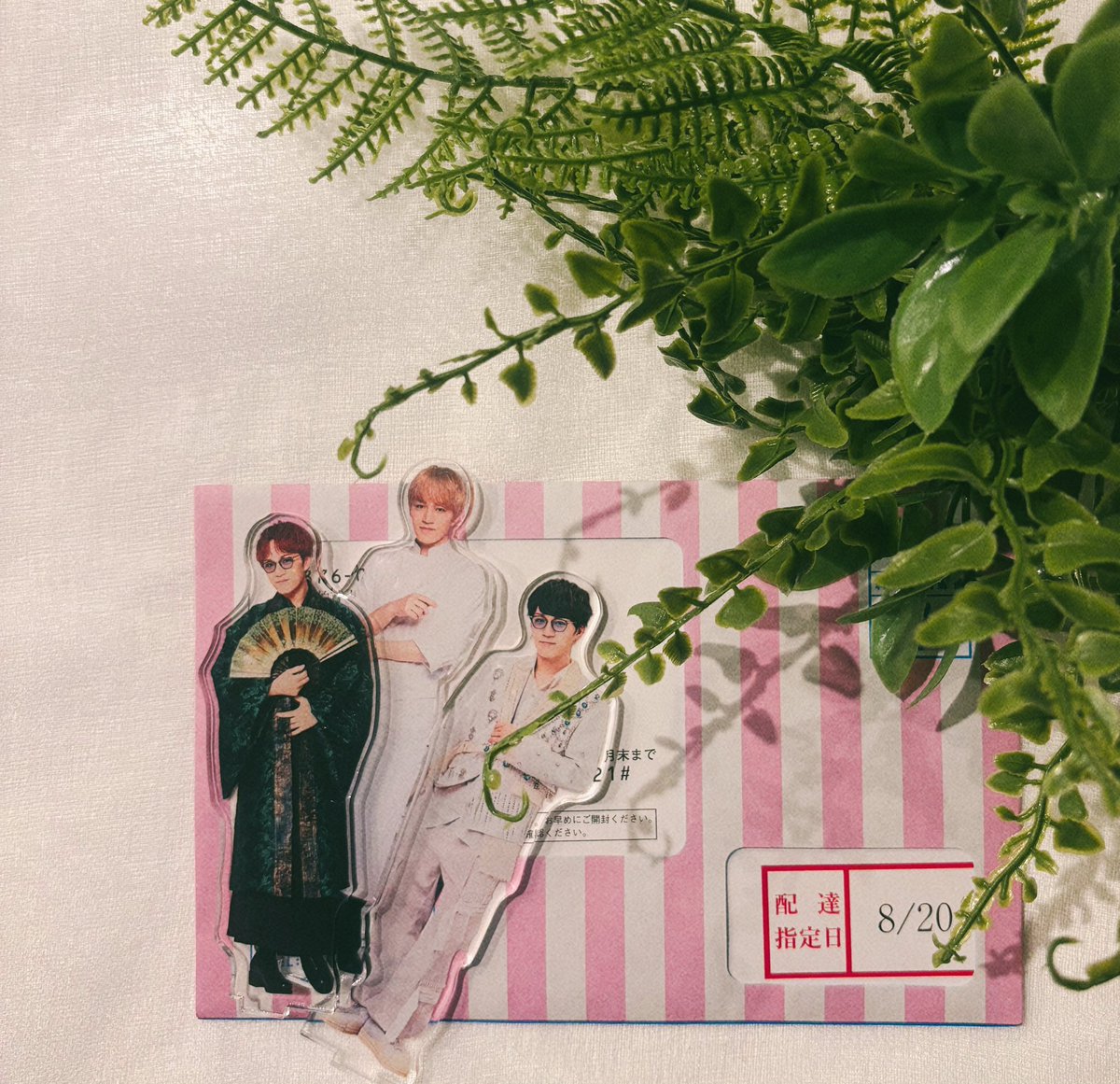 けい‎🤍🕊️ tweet media