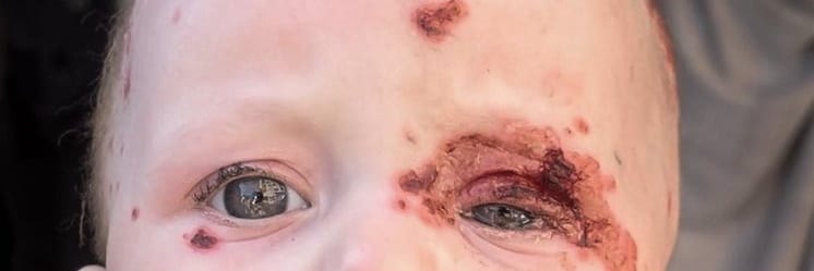 Aycin_Kantoglu's tweet photo. Ağzımın içi cehennem
Bunca acı sözü, bunca cenazeyi 
omzunda nasıl taşıyacak
kemiklerim!

Vah ömrüm, eyvah ömrüm! https://t.co/T7YR6akNEK