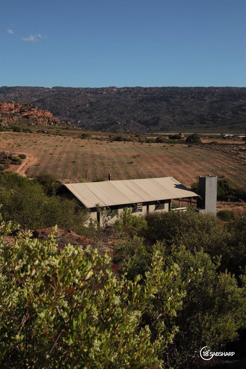 Tebogo Pin-Pin tweet media