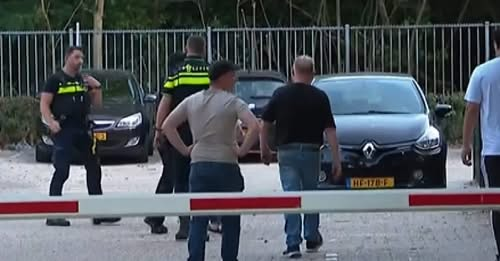 Dolly van den Berg tweet media