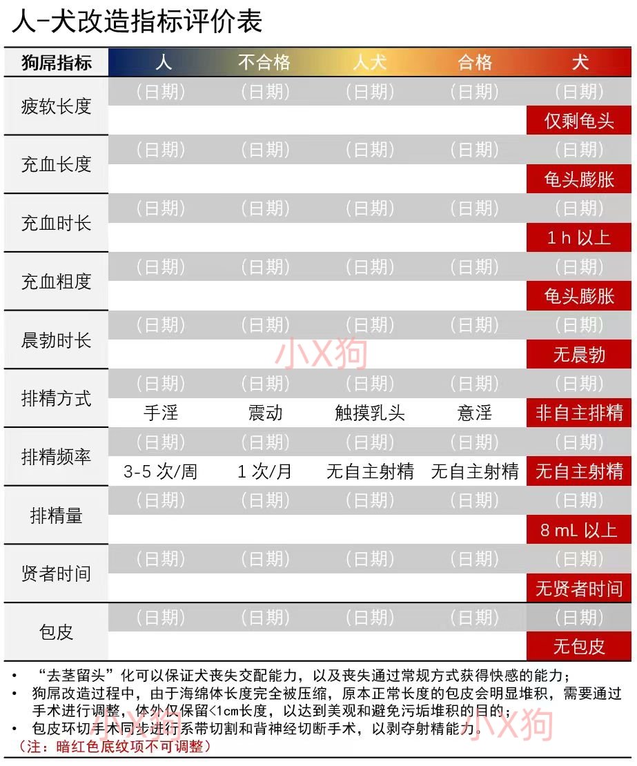 小X狗 tweet media