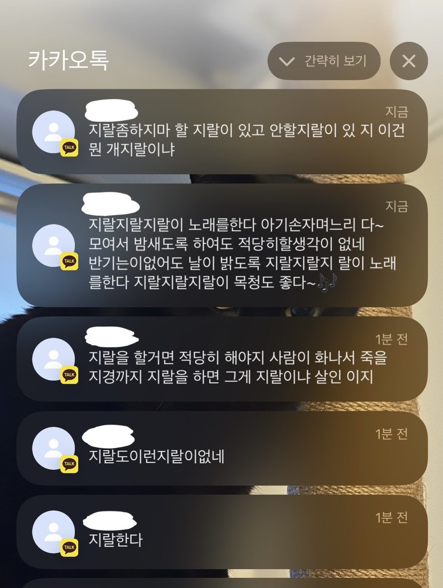 엔시티위시 콘서트 일반예매 후기