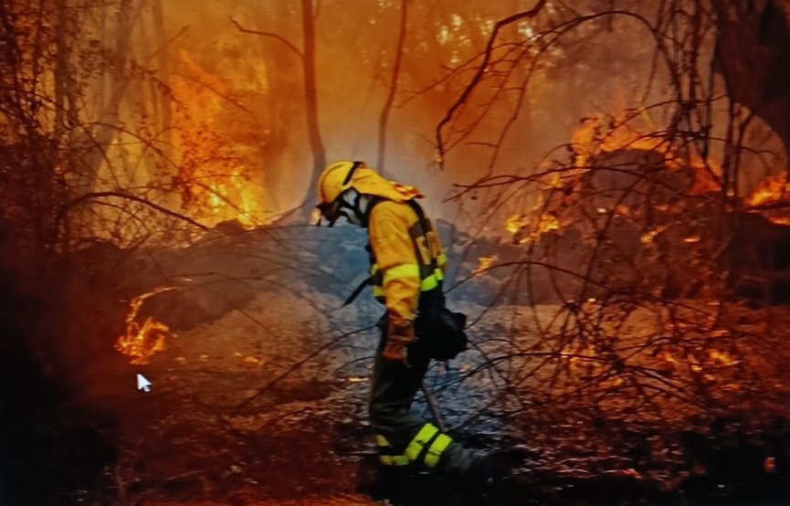 📢Hoy en Cádiz
🔴CONCENTRACION🔴
PLAN INFOCA,EMA🧑‍🚒🔥
Raul Mena Bombero Forestal de CCOO Industria estamos aquí contra:
🚨Precariedad Laboral🚨
🔥Por EPIS
🔥Por Vehículos Seguros
🔥Por Antiguedad
El Monte se defiende los Derechos  también‼️
INFOCA NO SE VENDE
SE LUCHA
SE DEFIENDE