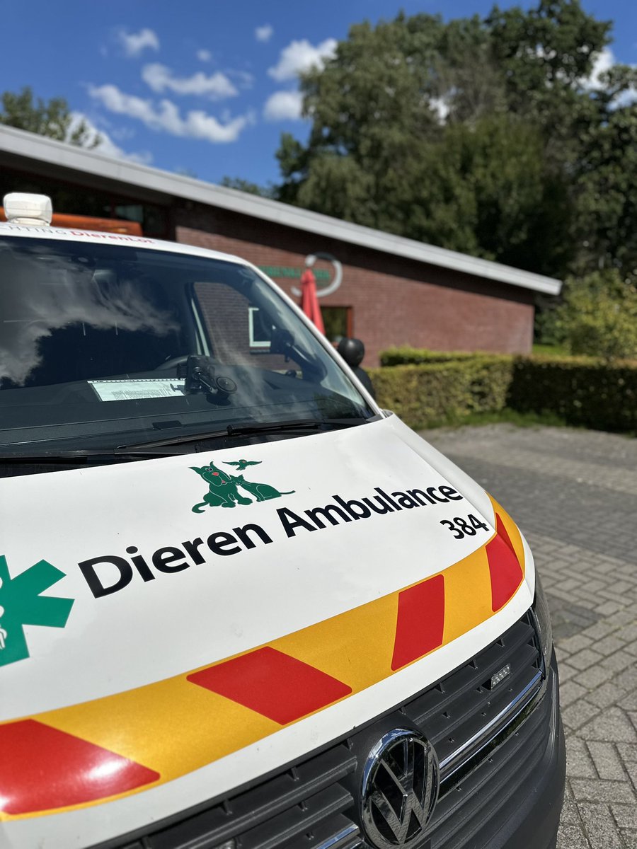 Melding van een hond die van de bank is gevallen. De hond is ongelukkig terecht gekomen. Samen met de eigenaar overgebracht naar een dierenarts. 

#Dierenambulance #Zwolle #Volgdienst #Dierenhulp #Samenvoordieren <a href="/DierenLot/">Stichting DierenLot</a>
