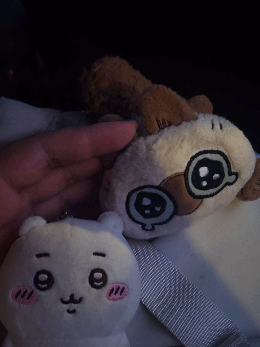 Fu_Aug's tweet image. 