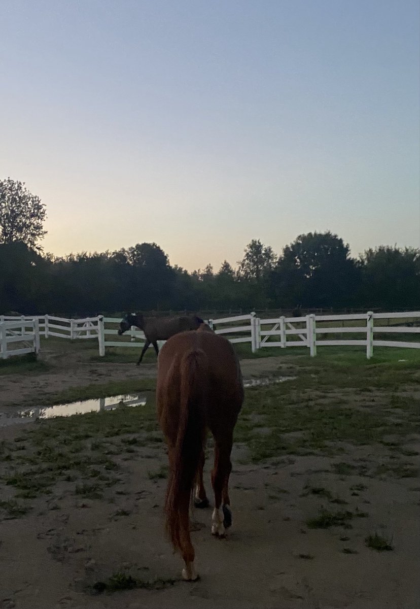 Good Morning Friends 
Morning turnout