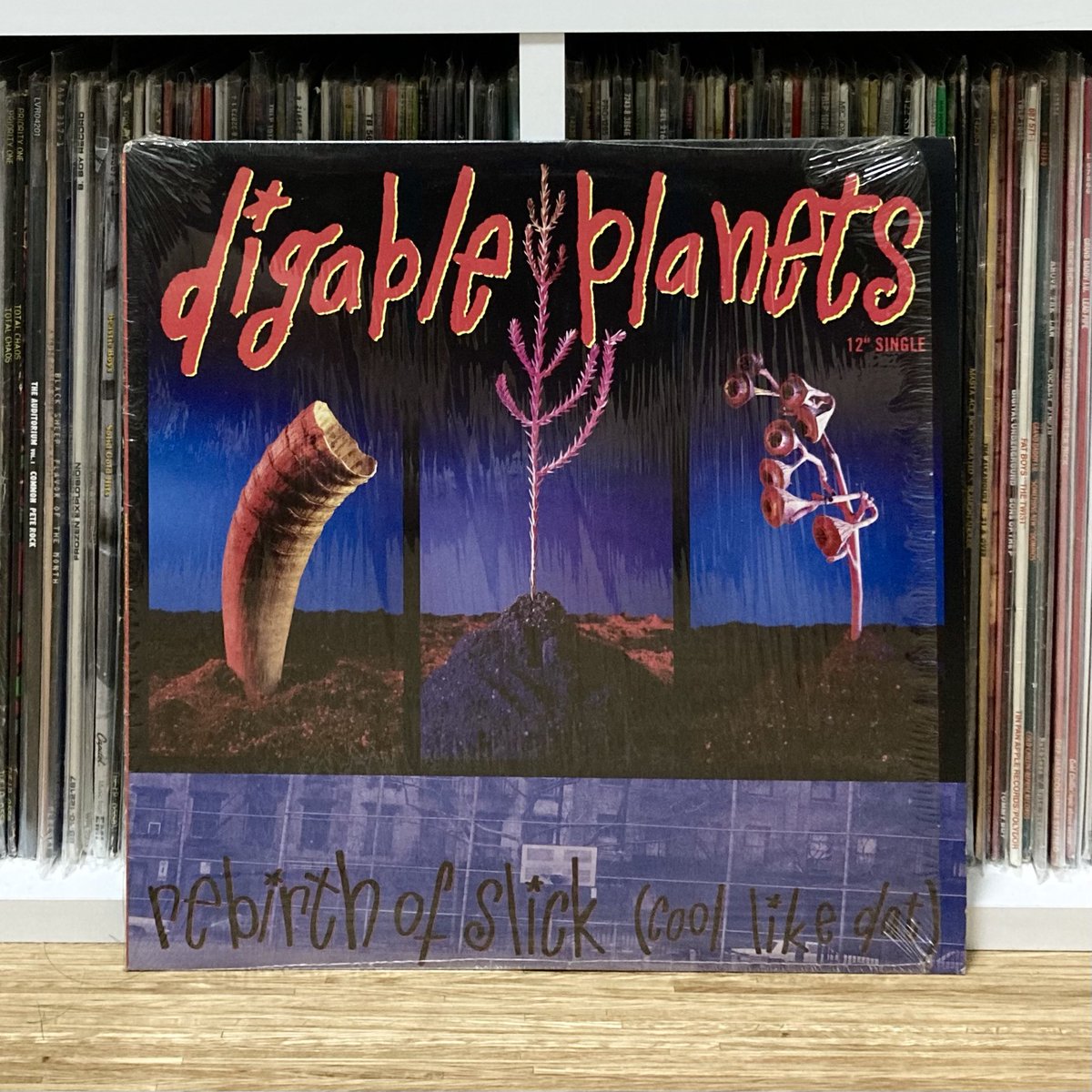 Digable Planetsといえばこの曲というような代表作のシングルなので、裏ジャケだけというのは忍びないので表ジャケットも見てください。

涼しげな曲なのでこの季節の夜にはいいかもしれないので、気になったら聴いてみてね！
#ヒップホップ