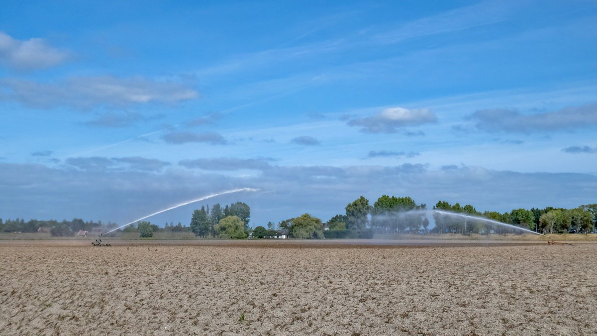 StormjagersNL's tweet photo. Duo beregenen op het land in verband met droogte en uienoogst gehuld in stofwolken 📷 #weerfoto #Hellevoetsluis #Tinte @EilandVoorne @KikiBo21937 @johan_klos @BasMunne @MRTfotografie @WNLVandaag @EdAldus @onwukaa @BuienRadarNL @janvissersweer @weerverteller @Weerplaza https://t.co/mE0ORZInt7