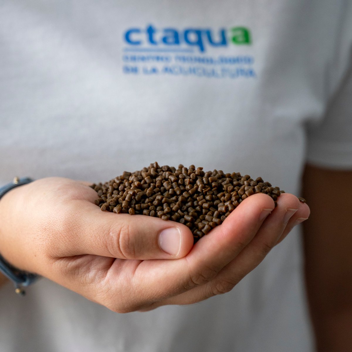 🔵🐟 Continuamos avanzando en nuestra línea de #nutrición, enfocada en el desarrollo y fabricación de nuevas #dietas experimentales para especies clave como trucha, seriola, lenguado y tilapia, adaptadas a  cada fase de cultivo.

👉+ info: ctaqua.es/250730-extruso…
#acuicultura