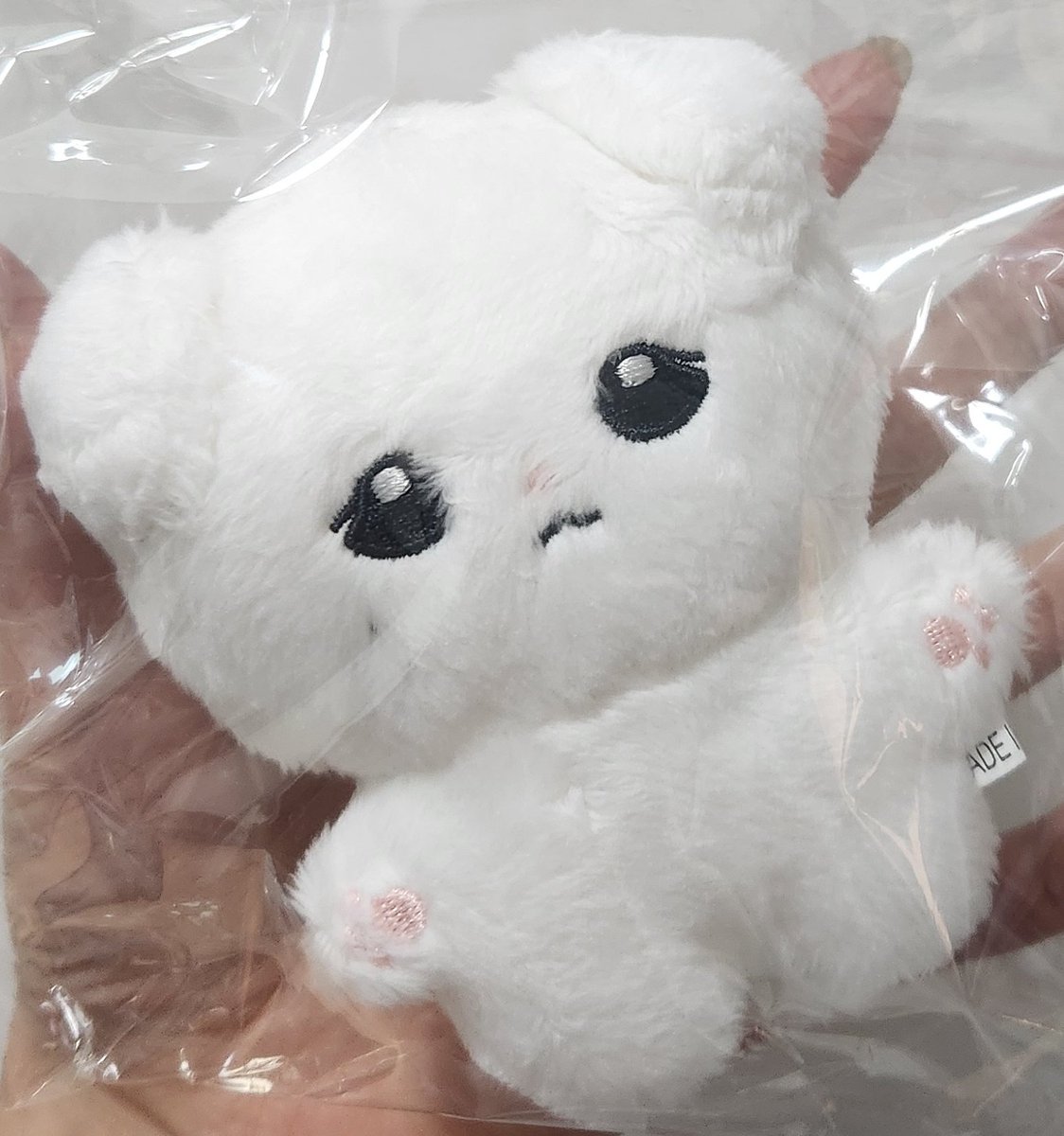 SSOBeee's tweet image. #지나갑니다
올릴 계정이 없어서 여기 옴
혹시 효뭉이나 션덩이 원가 양도 받으실분?
효뭉이는 배송 받은 채로 안 뜯은 깨끗한 아이고 션덩이는 전시만 해놨어서 때탄 곳 없어요! 한마리 사시면 두마리 다 드릴게여... 
(효뭉이1, 션덩이2, 작덩이1 있어요)
멘션주세요... 🫰