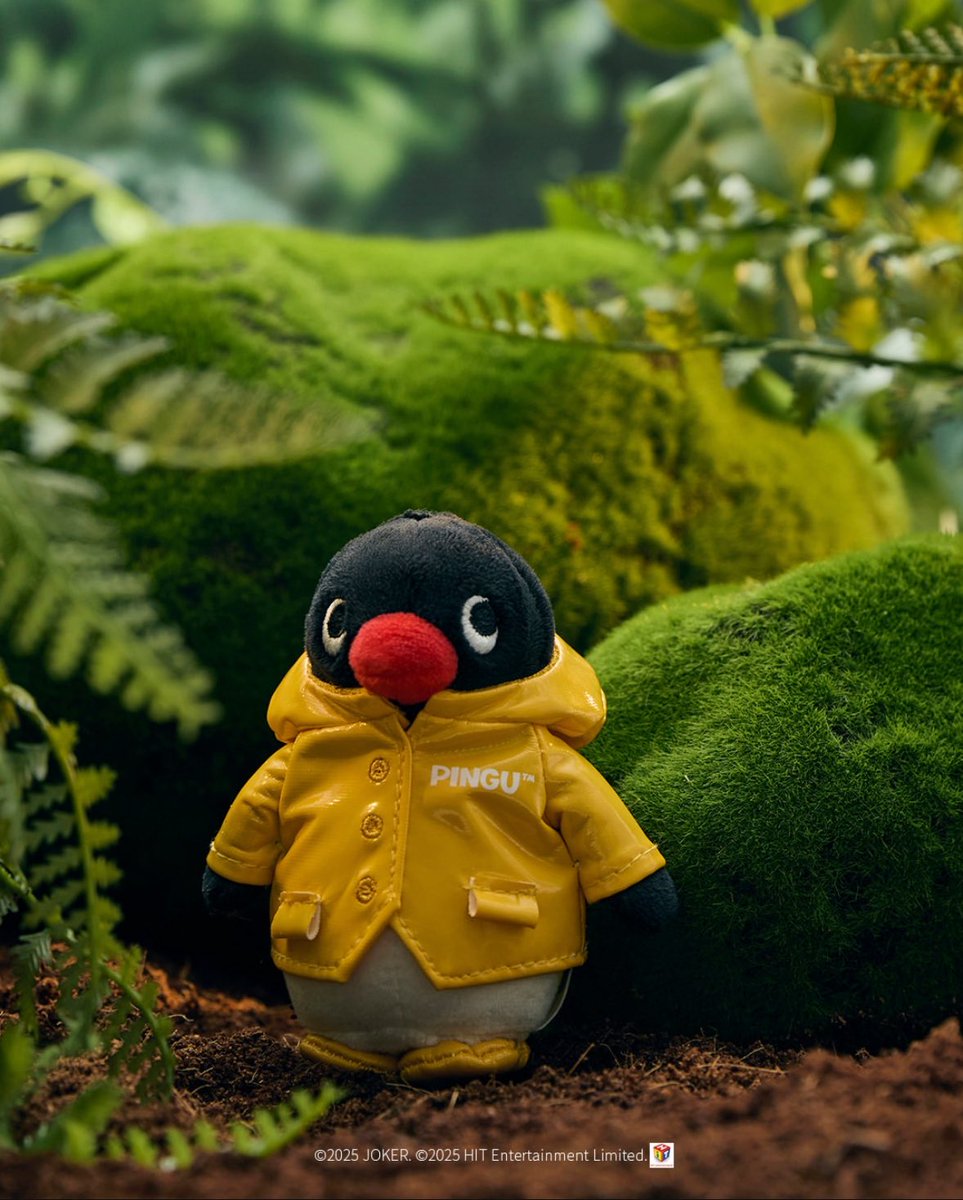 cgv 핑구 굿즈 실물 🐧🐧

인형 단품은 11,000원
팝콘 콜라 인형 세트는 15,000원이라고