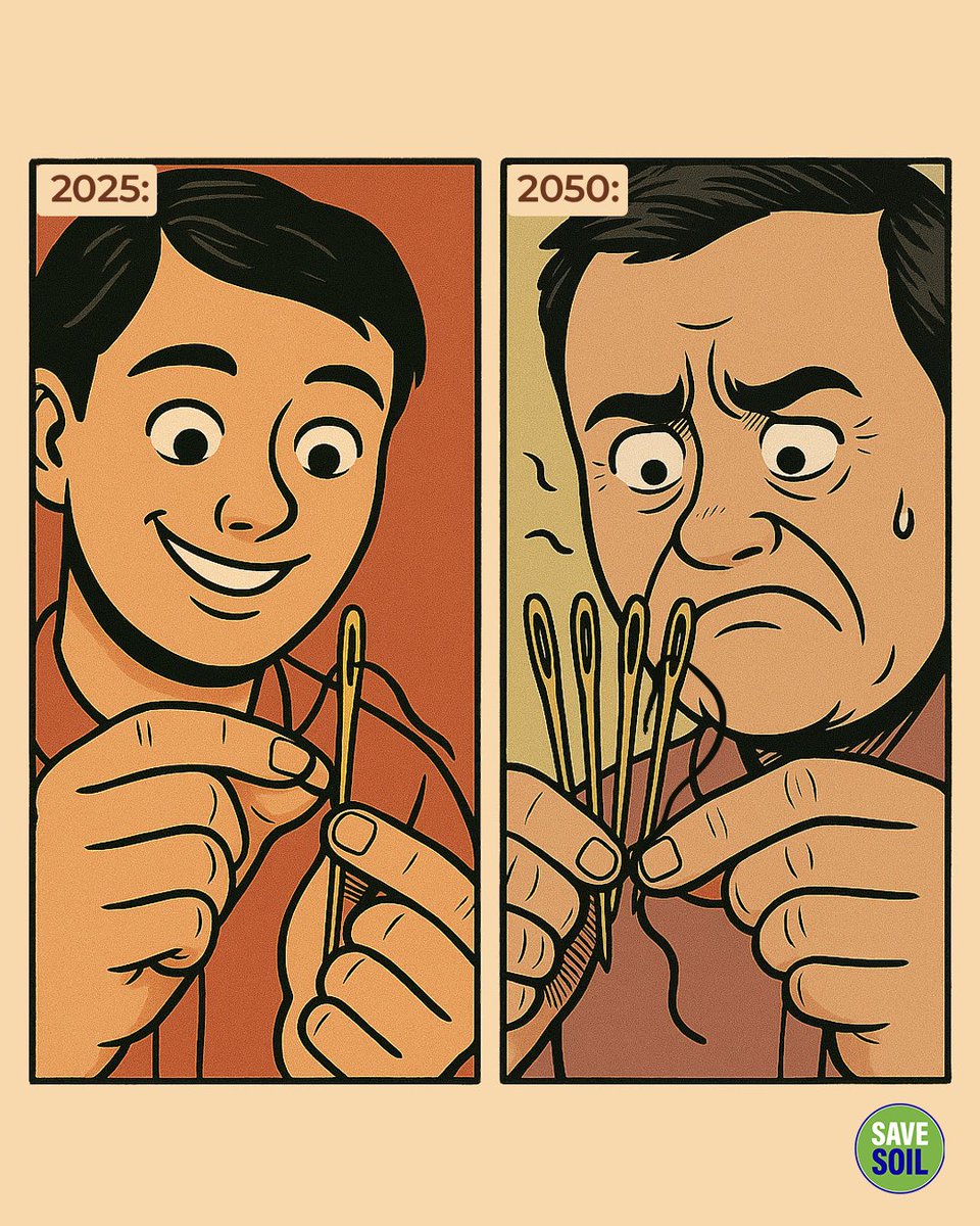 Time is our most precious resource in the effort to save soil.

If we act now, restoring our planet's soil will be like threading a single needle—challenging, but entirely achievable with focus and determination.

But if we wait until 2050? We'll be trying to thread multiple