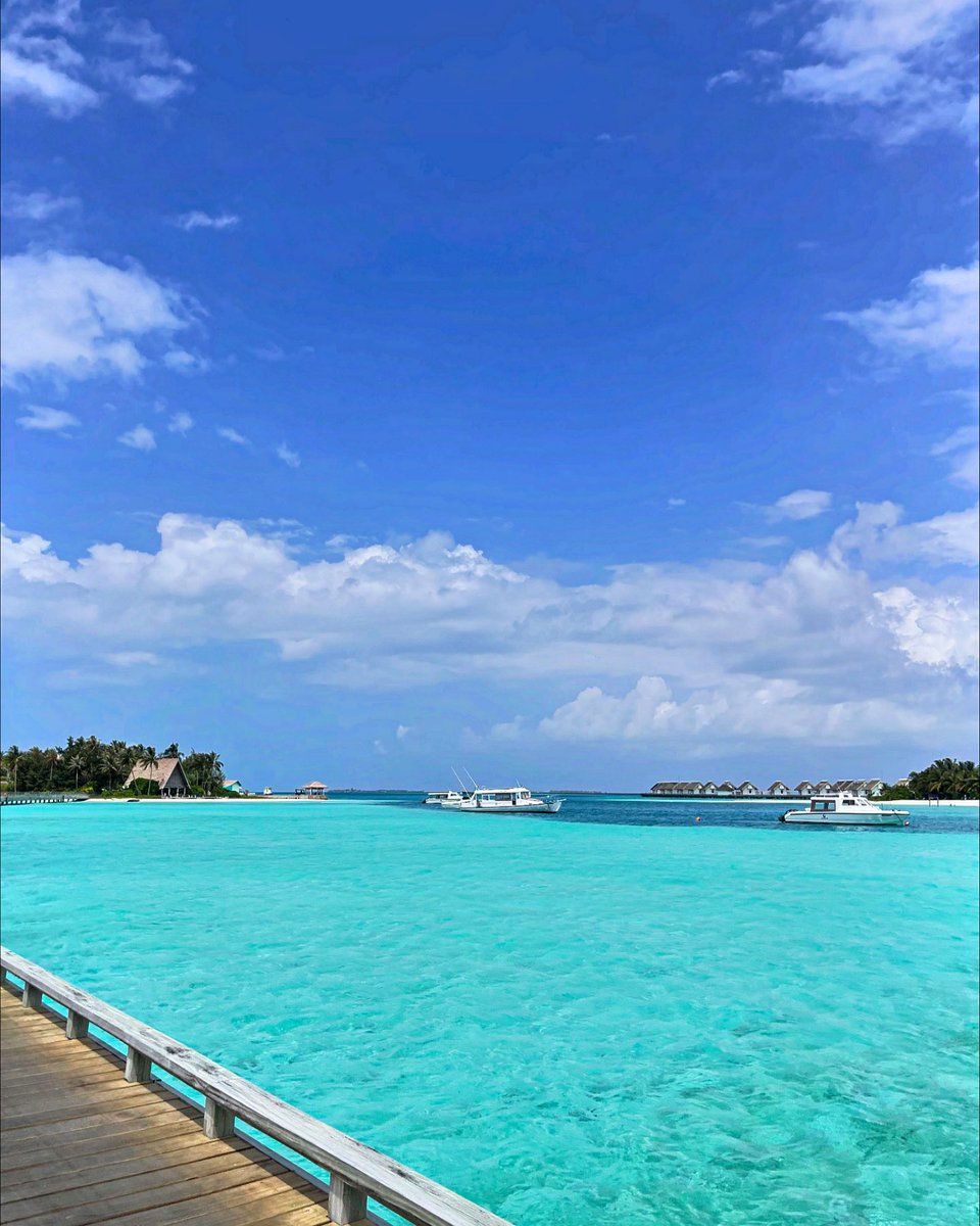Lyrix_Lee7's tweet photo. Just another day in paradise 🏝️ 
#maldives🇲🇻 https://t.co/uiZ1HATa0e