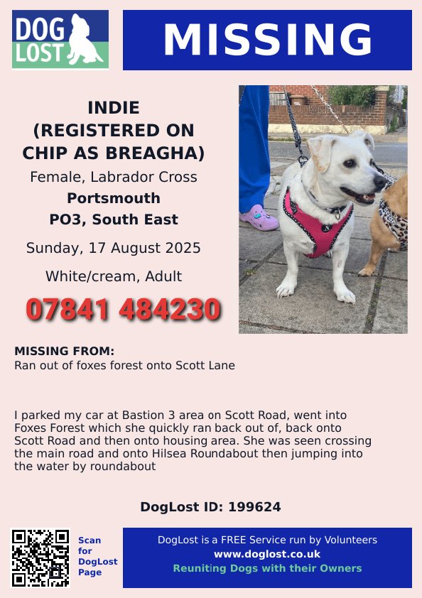MissingPetsGB's tweet photo. PLEASE ANYONE WITH RING DOORBELL/CCTV FOOTAGE IN

RENNY ROAD
LINCOLN ROAD
MANCHESTER ROAD
LIVERPOOL ROAD
WALMER ROAD
PENHALE ROAD
GUILDFORD ROAD
 
FRATTON

PLEASE CHECK FOOTAGE BETWEEN 8PM &amp; 9PM 29 AUG FOR LONE WHITE DOG WITH HARNESS ON OR OFF &amp; CONTACT IF YOU SEE DOG LIKE INDIE https://t.co/WLX3vFwYXa