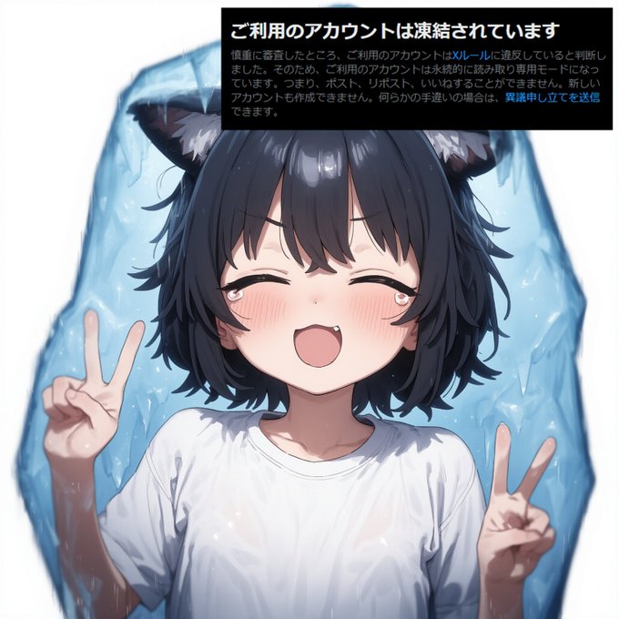 前のアカウント凍結しました;; 