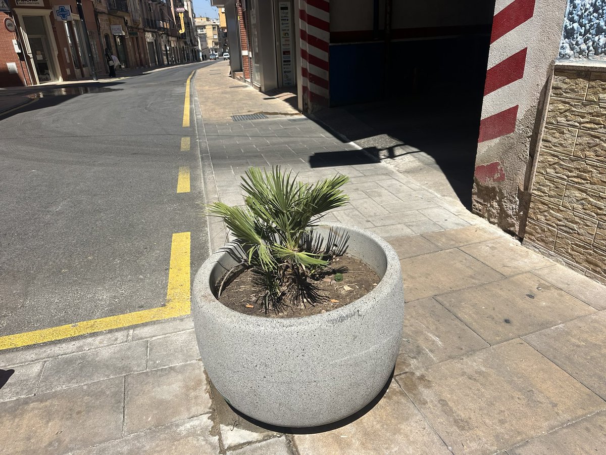 LinaresLibre's tweet photo. Linares/calle Baños:  no las había más pequeñas? Esto es ajardinar? Sombra?
Se ha invertido mucho dinero en esa calle, han pasado 3!!! Alcaldes… tanto cuesta hacerlo bien?

@apacheminero @RadioGachi @Linares9Provinc https://t.co/sWuKcyQjsa