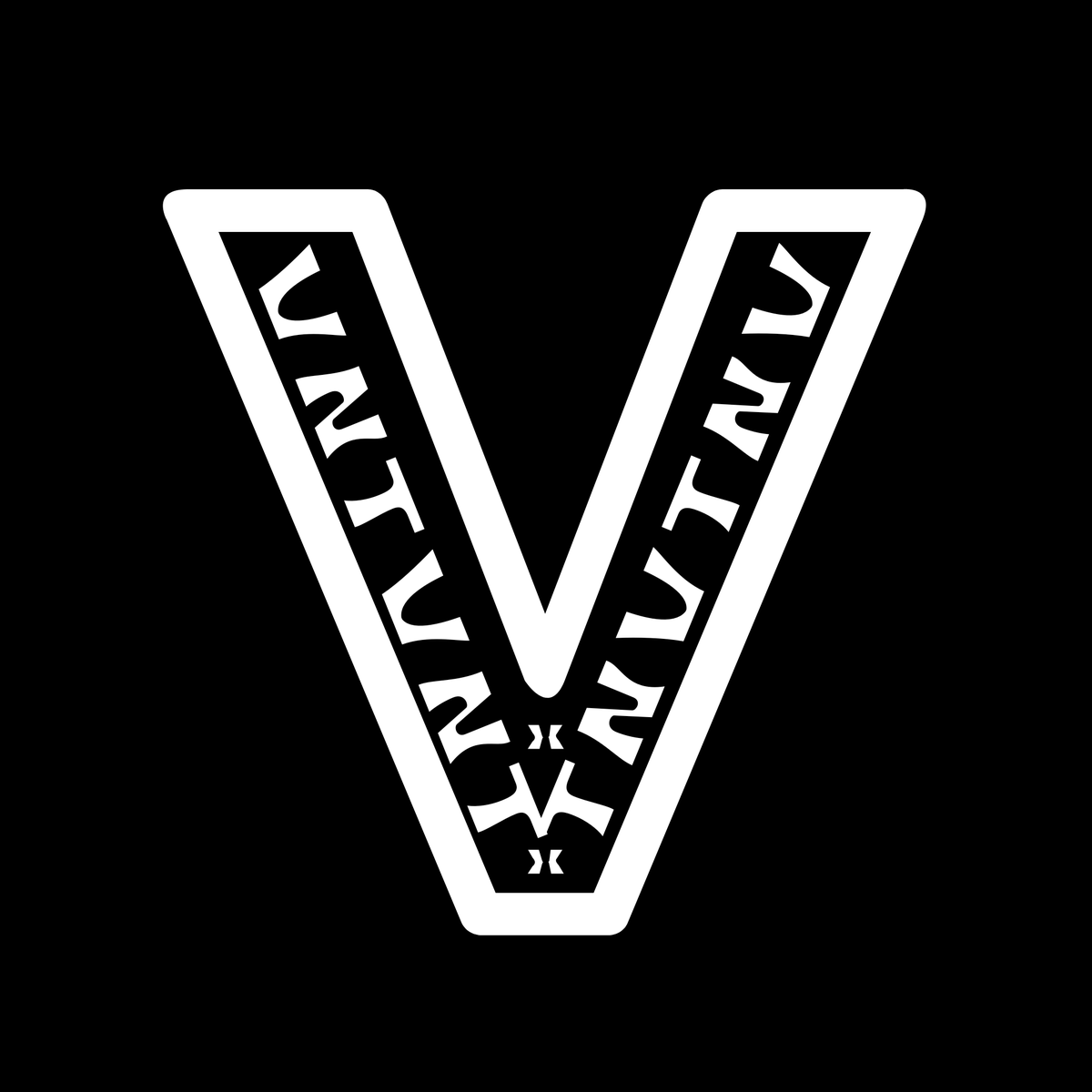 VANTAorg tweet media