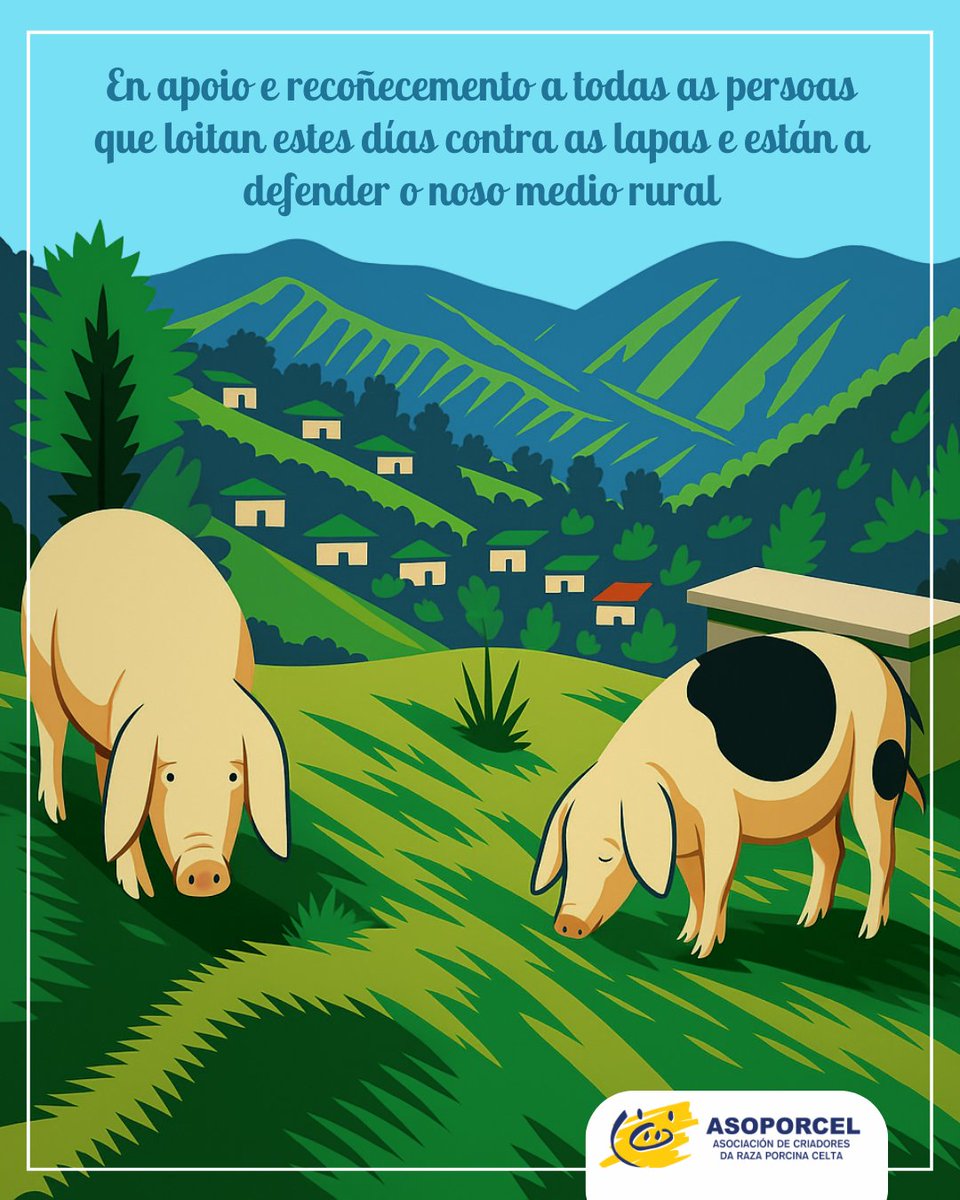 Desde Asoporcel queremos enviar o noso apoio a gandeiros e gandeiras, ás brigadas e á veciñanza que está a sufrir o lume e que non se rende na defensa dos seus fogares e da terra que compartimos.

Moito ánimo para todos e para todas. A nosa terra volverá ser verde 🫂💚🌱
