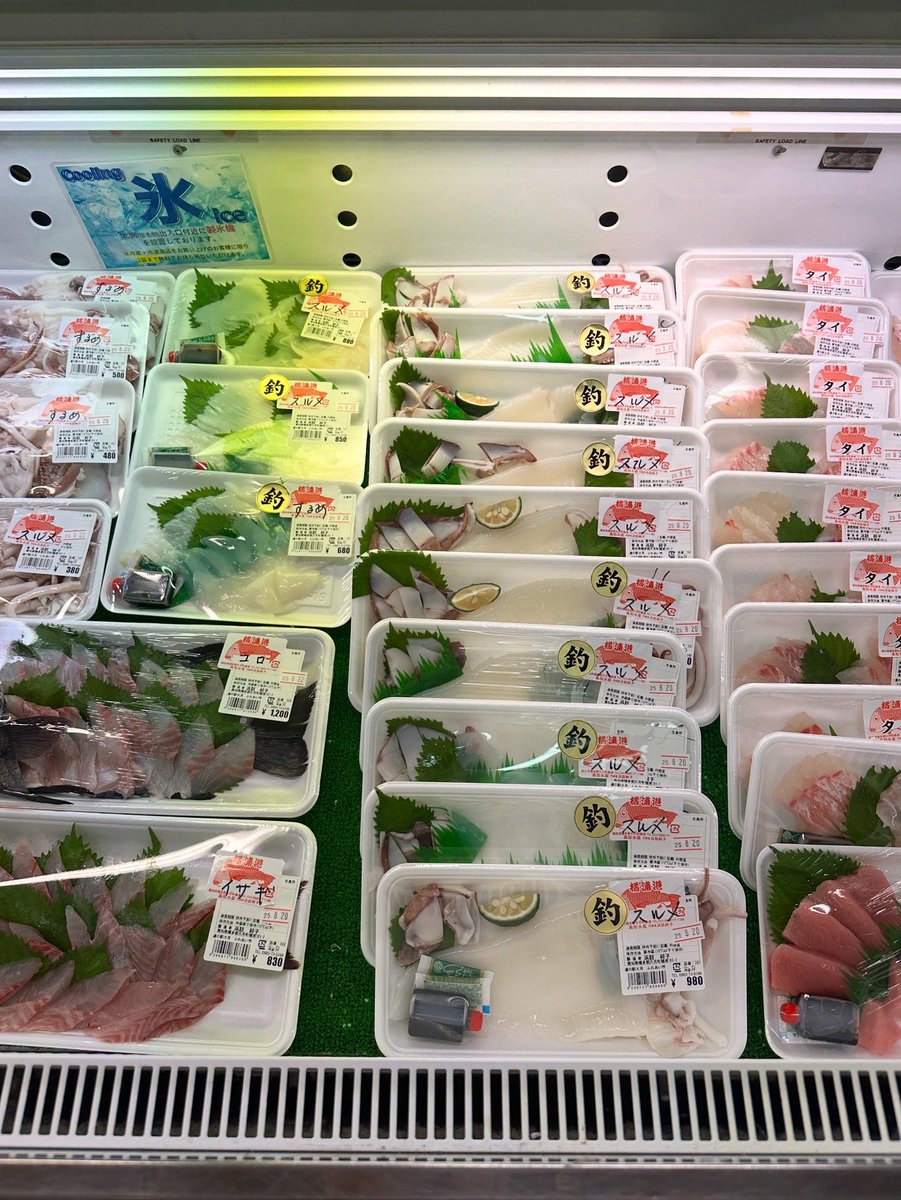 errie's tweet image. 目的地に向かうまでに、道の駅寄り道はしご。めじかの里の漁師丼、おさかなムッチムチで最高。最後に茶漬にできるお出汁サービスも嬉しいの。

ふれあいパーク大月、ついにクーラーボックス持参で朝どれのお刺身をたっぷり仕入れることに成功。今夜の夕食は約束されたぞ🙌
#kaiyu #海癒 #yostrip