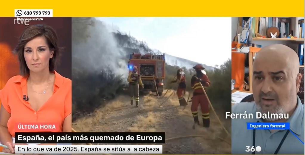 Ingeniería Forestal (@ingforestal50) on Twitter photo Claridad y contundencia en la intervención del vocal de nuestro Colegio <a href="/IngForestal50/">Ingeniería Forestal</a> , Ferrán Dalmau <a href="/ferrandalmau78/">Ferran Dalmau - Rovira</a> al hablar este 19 de agosto en Mañaneros 360 <a href="/MananerosTVE/">Mañaneros 360</a> de <a href="/rtve/">RTVE</a> sobre los grandes incendios forestales.
VER EL VÍDEO 👇
youtu.be/6FDLe5QNpQs Claridad y contundencia en la intervención del vocal de nuestro Colegio <a href="/IngForestal50/">Ingeniería Forestal</a> , Ferrán Dalmau <a href="/ferrandalmau78/">Ferran Dalmau - Rovira</a> al hablar este 19 de agosto en Mañaneros 360 <a href="/MananerosTVE/">Mañaneros 360</a> de <a href="/rtve/">RTVE</a> sobre los grandes incendios forestales.
VER EL VÍDEO 👇
youtu.be/6FDLe5QNpQs