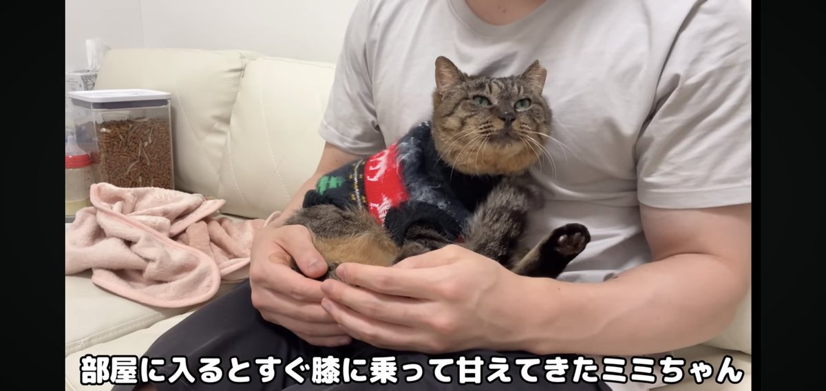 もちまるLOVE フォウ (@EMs5B5rXk3nxWbS) / X