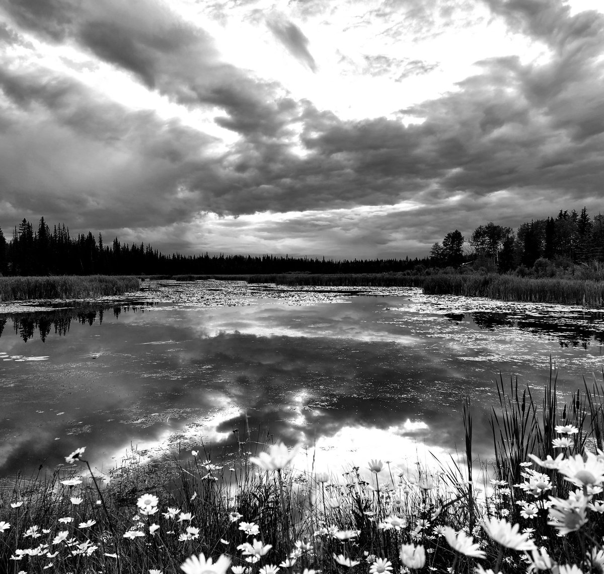 content in the shadows