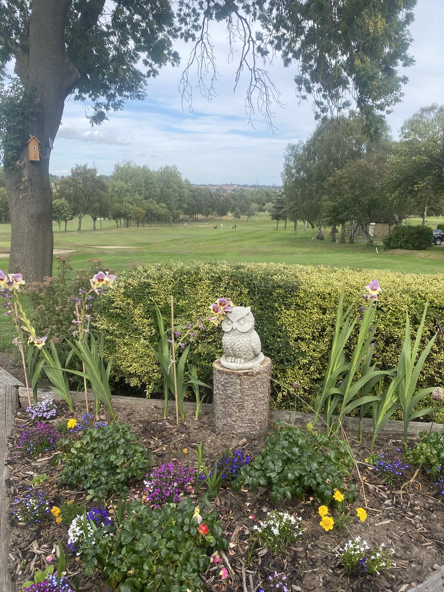 George & Dragon Golf Society tweet media