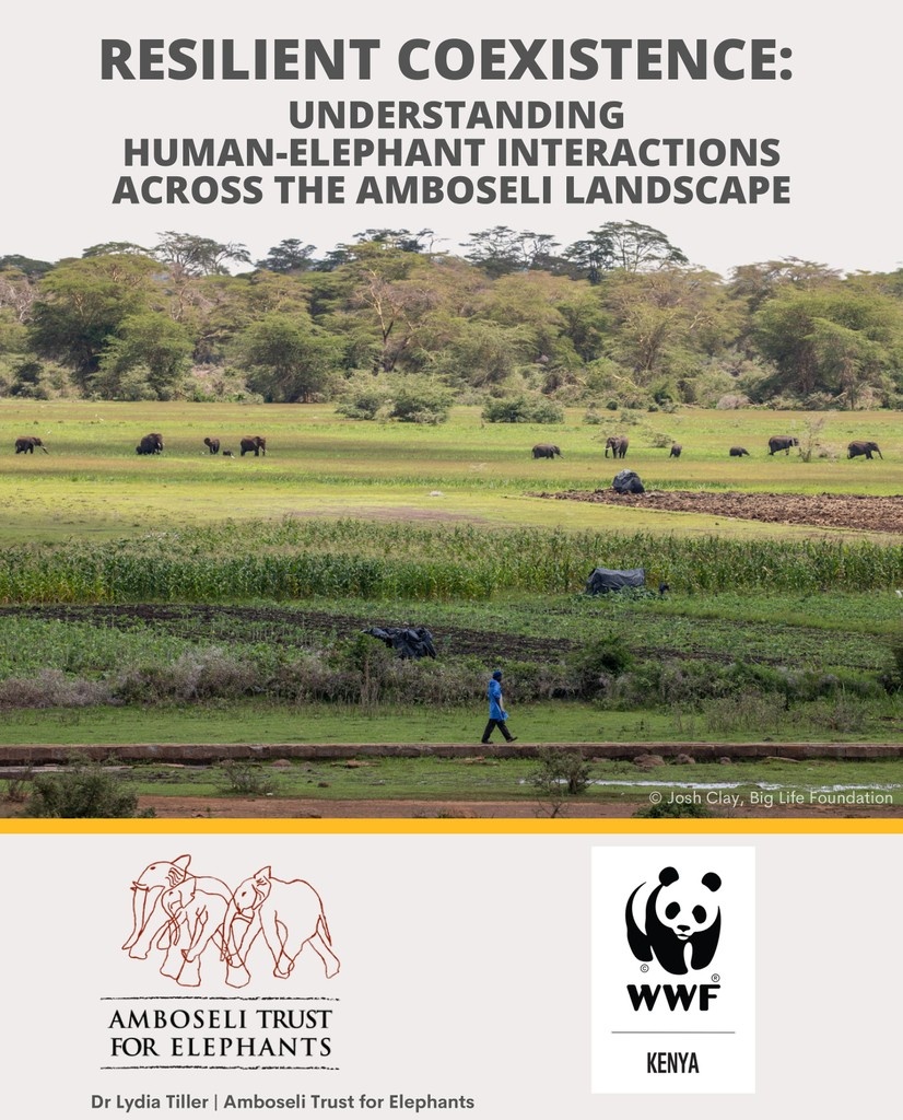 ElephantTrust's tweet image. 📢 New Report: Resilient Coexistence 2025
Our latest report, based on a 2024 survey, explores the challenges &amp;amp; opportunities of human-elephant coexistence in Amboseli.

Read the full report: elephanttrust.org/wp-content/upl…