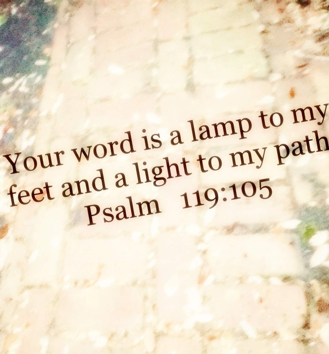 Michael P Ascani (@savlifeonline) on Twitter photo 