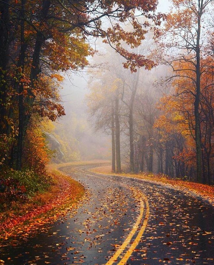 32 days until fall starts!! 🍂🎃