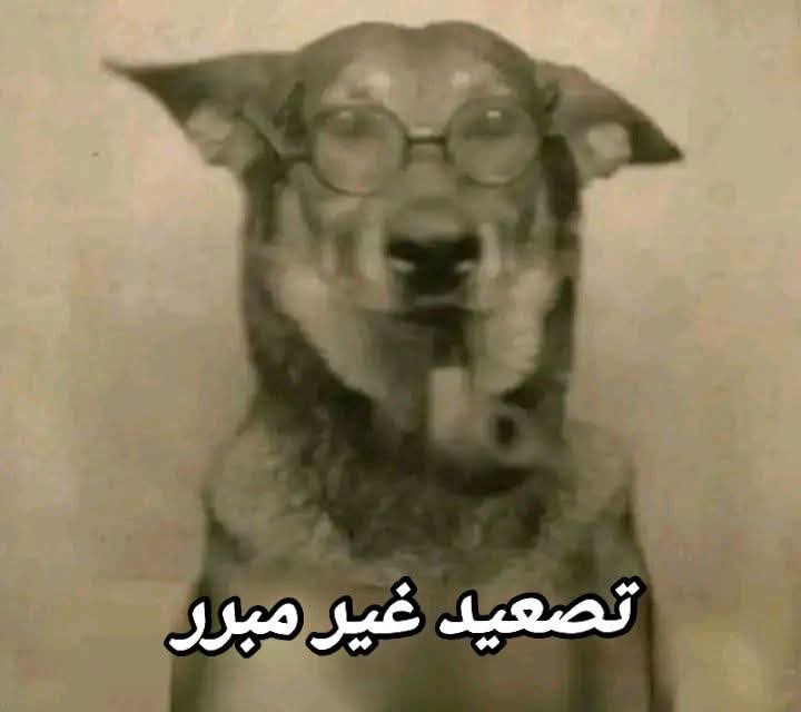 باربي Q (@ruebarakatte) on Twitter photo 