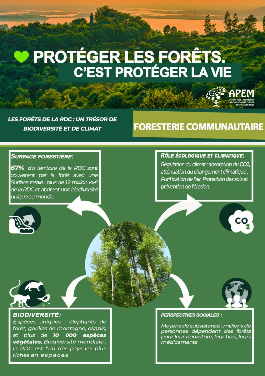 APEM RDC 1 tweet media