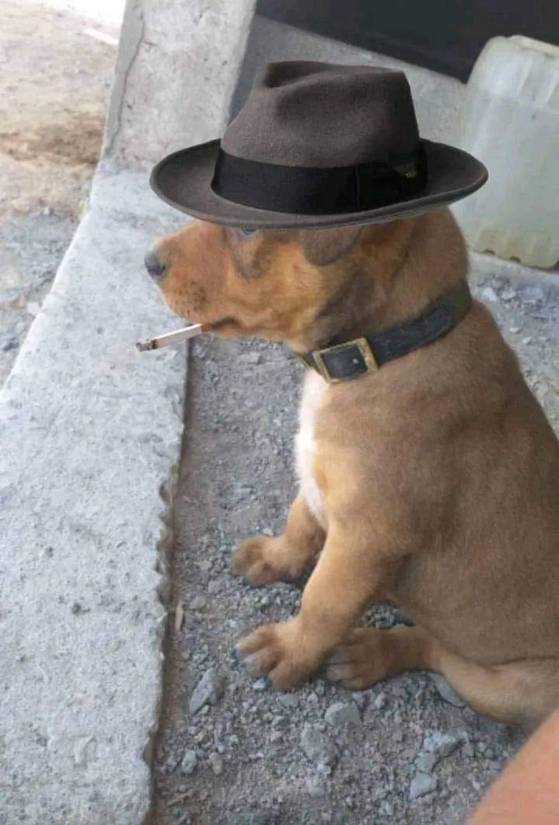 mak (@mak_frags) on Twitter photo 