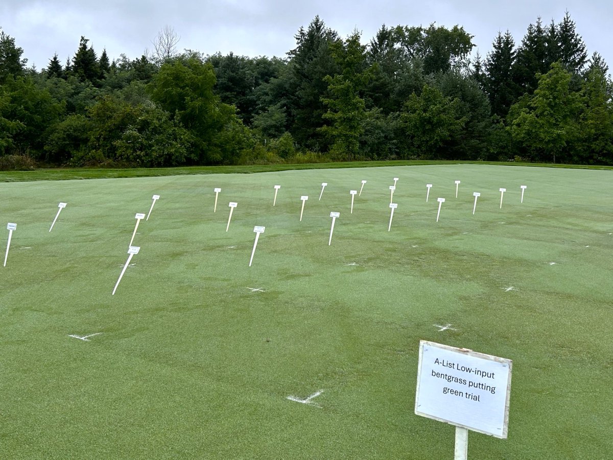 Rain or shine, the DLF turf team is at #ResearchFieldDay @GuelphGTI 🌧️

Cooler temps, hot ideas—connecting with turf pros &amp; exploring the latest in turfgrass innovation 🌱

#DLFTurf #TurfScience #FieldDay2025 #AgInnovation
