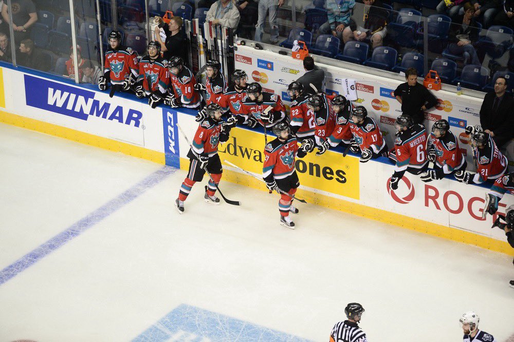 HockeyDocs tweet media