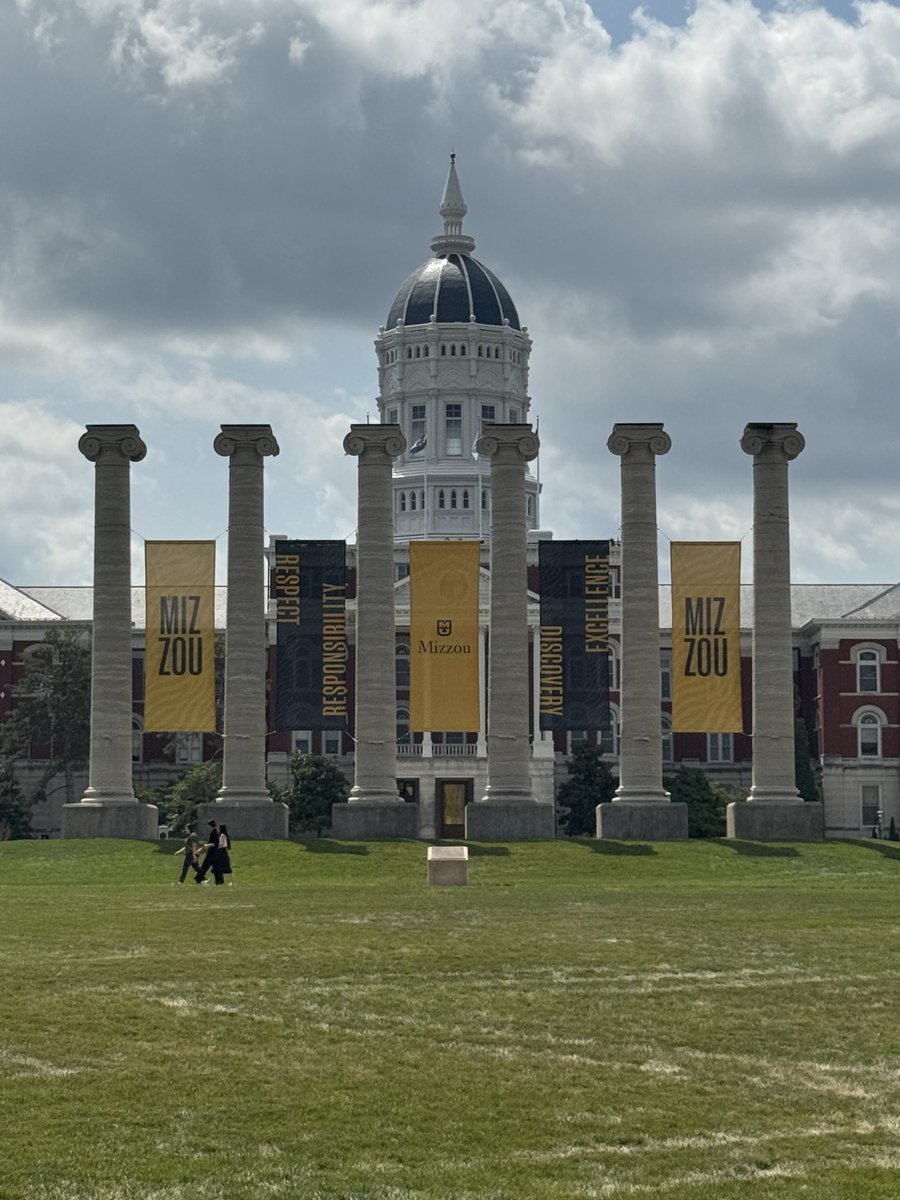 Assistant Softball Coach, MIZZOU tweet media