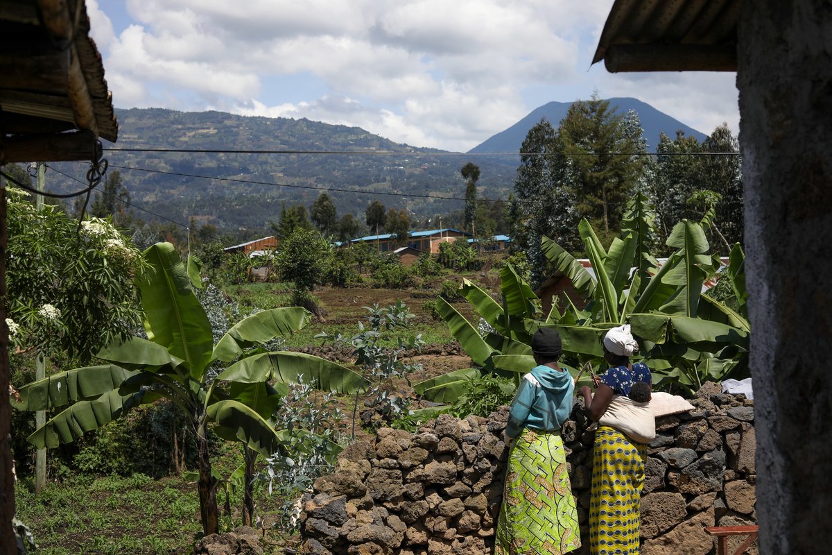 We’ve proudly partnered with <a href="/GiveDirectly/">GiveDirectly💸</a> to bring direct cash aid to families in Rwanda. 

Their trust-based model empowers people to solve poverty on their own terms—with dignity. We are proud to be part of this transformative work!

Read more: oneill-foundation.org/about_us/resou…