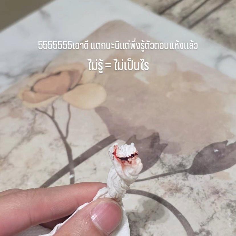 yinwarloving's tweet photo. Yin instead of yinyin.pain account needs to make a new ig account[ yinwar.pain ]
#warwanarat #yinyin_anw #หยิ่นวอร์
#yinwar https://t.co/J4P4oLDkBE