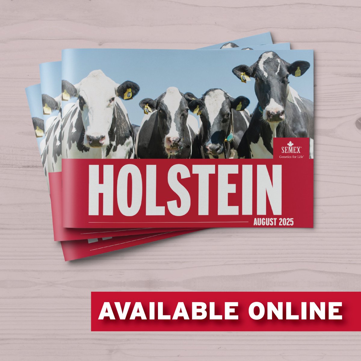 It's here...The August 2025 Holstein Catalogue is now available to view online. 👀🧬🥛
Follow the link below-
ow.ly/2MJz50WIP8x
#August25proofs #geneticsforlife